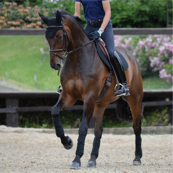Weatherbeeta Prime Jump Shaped Saddle Pad 1000747 - Black